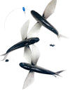 Triple Flying Fish Teaser